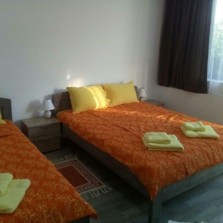Pavicevic Apartment Soko Banja Luaran gambar