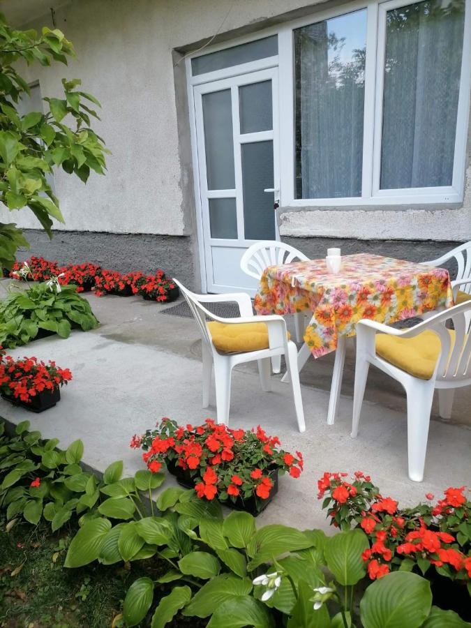 Pavicevic Apartment Soko Banja Luaran gambar