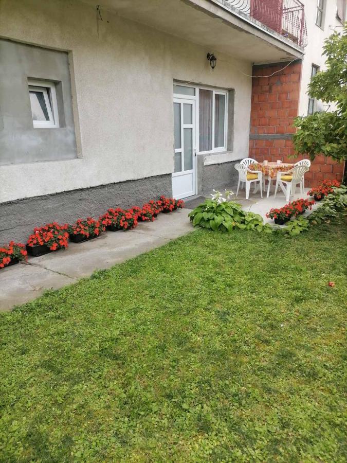 Pavicevic Apartment Soko Banja Luaran gambar