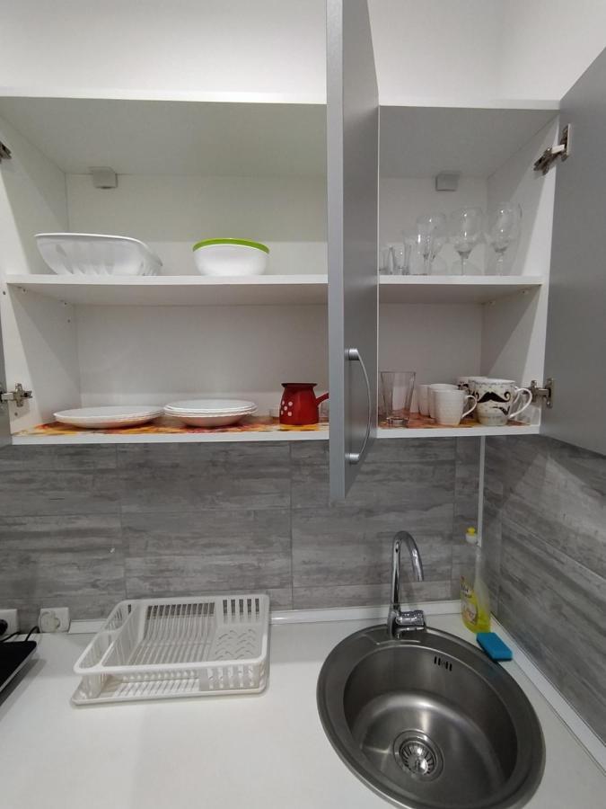 Pavicevic Apartment Soko Banja Luaran gambar