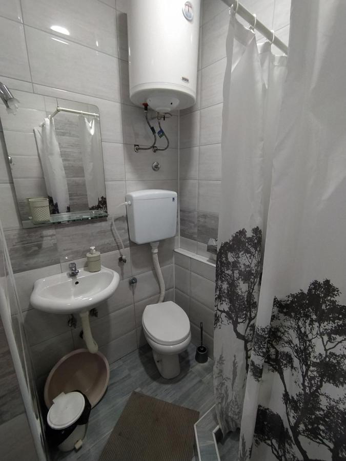 Pavicevic Apartment Soko Banja Luaran gambar