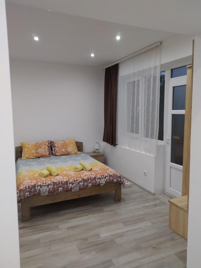 Pavicevic Apartment Soko Banja Luaran gambar