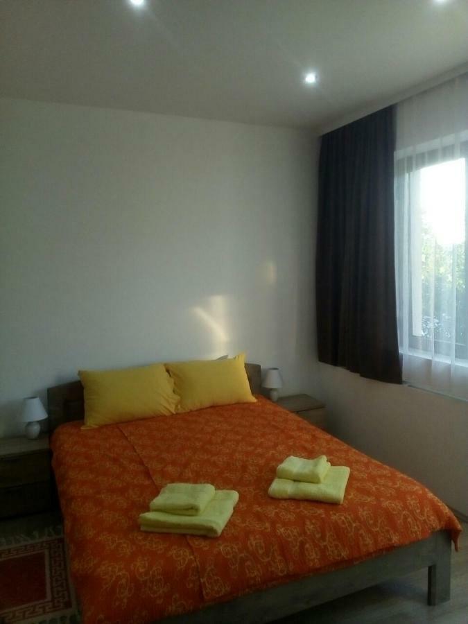 Pavicevic Apartment Soko Banja Luaran gambar